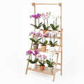 Repisa de madera para plantas de 3 niveles, modelo Florencia, con espacio para 6 a 10 macetas