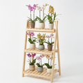 Repisa de madera compacta para plantas de 3 niveles, modelo Amazonas